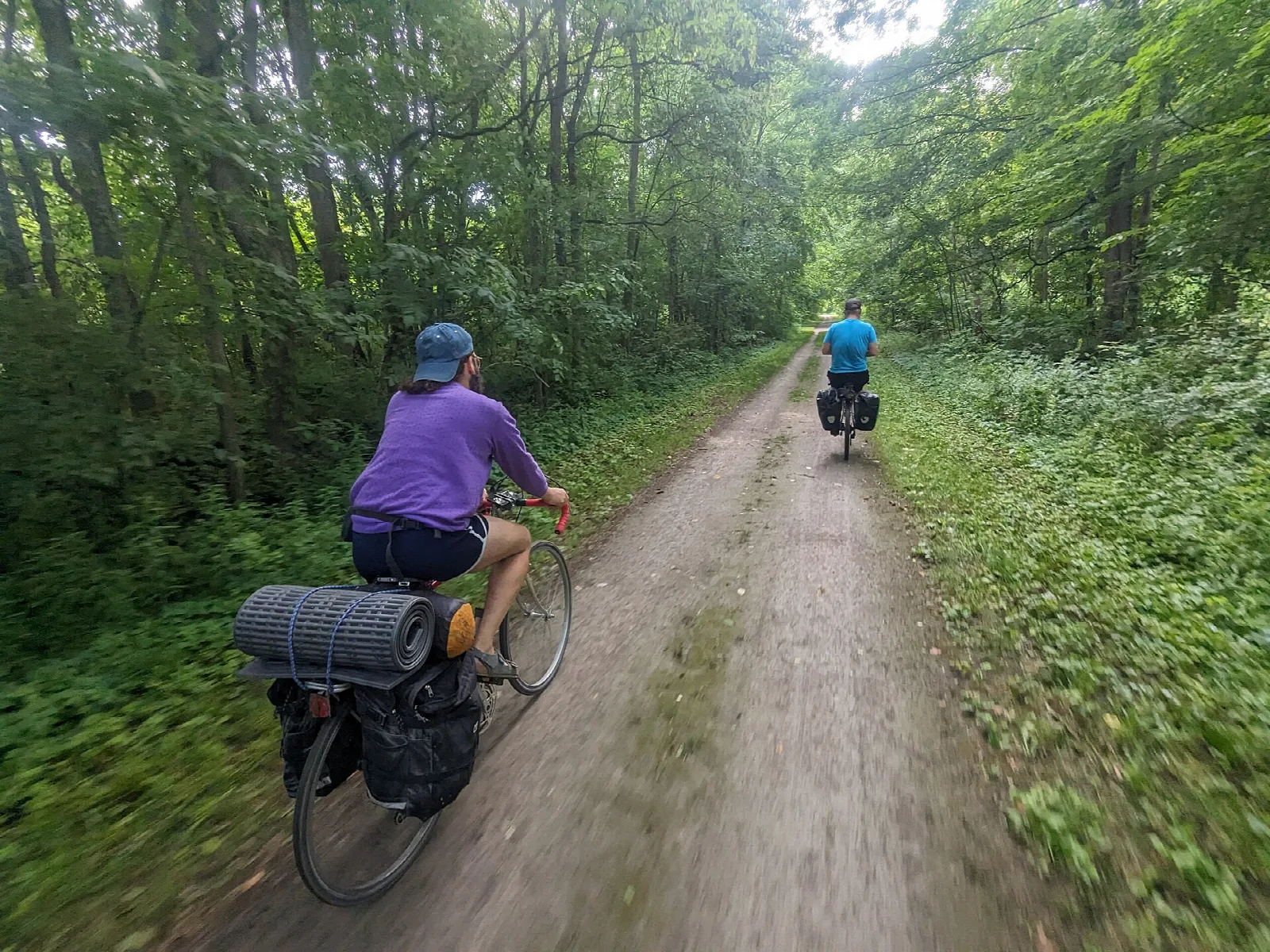 A cyclist with panniers riding a dirt trail through green woods