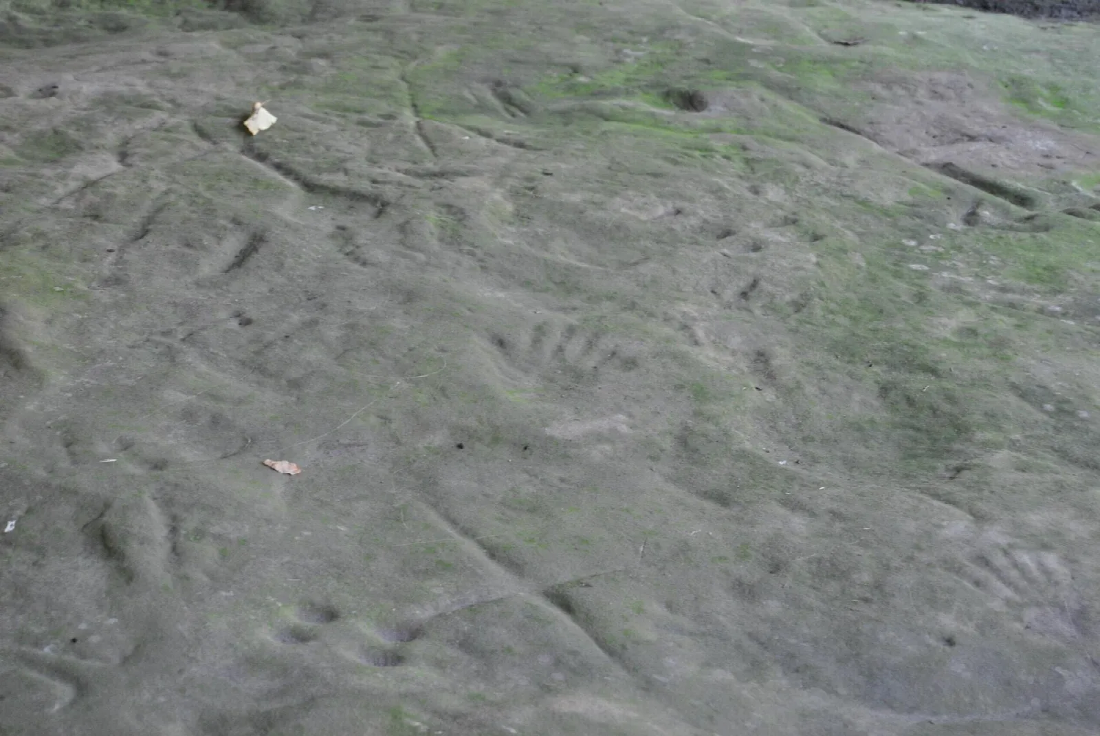 Carved handprint marks on a flat gray stone surface