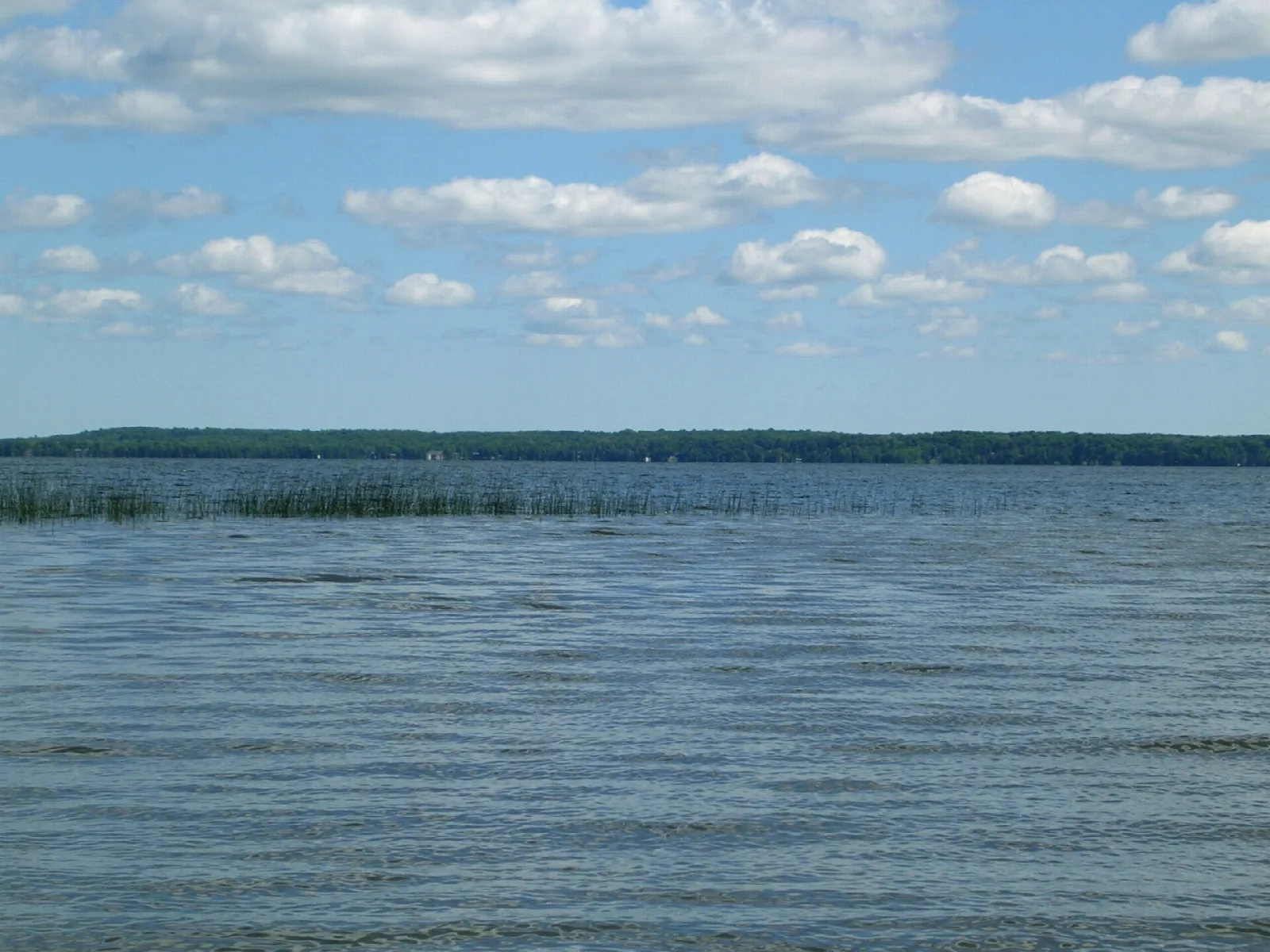 Wide lake with reeds along the shore under a cloudy blue sky