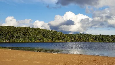 Fort Custer Recreation Area