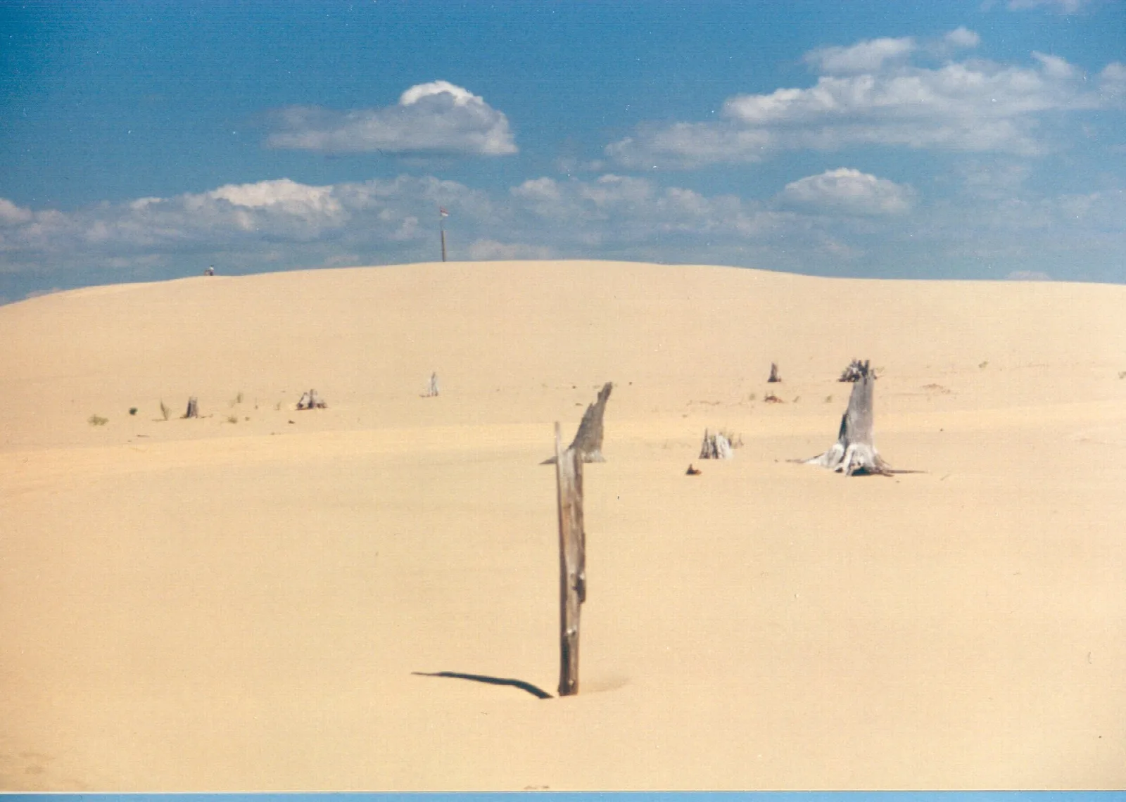 Wide sand dune with weathered posts and a blue sky