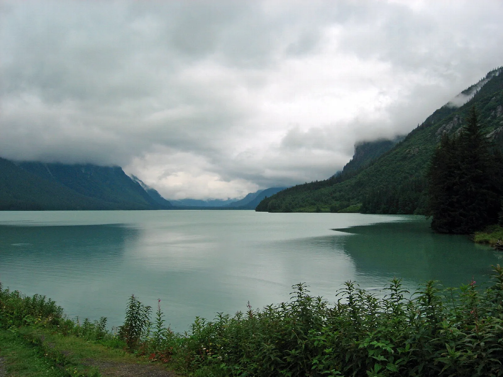 Green lake under low clouds with forested mountain slopes along the shore