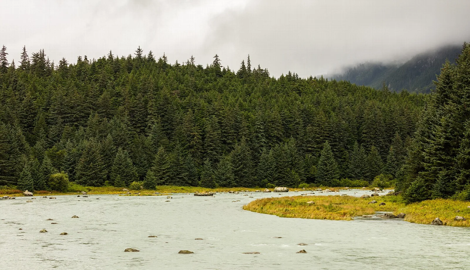 Gravel river bar and spruce forest under overcast sky