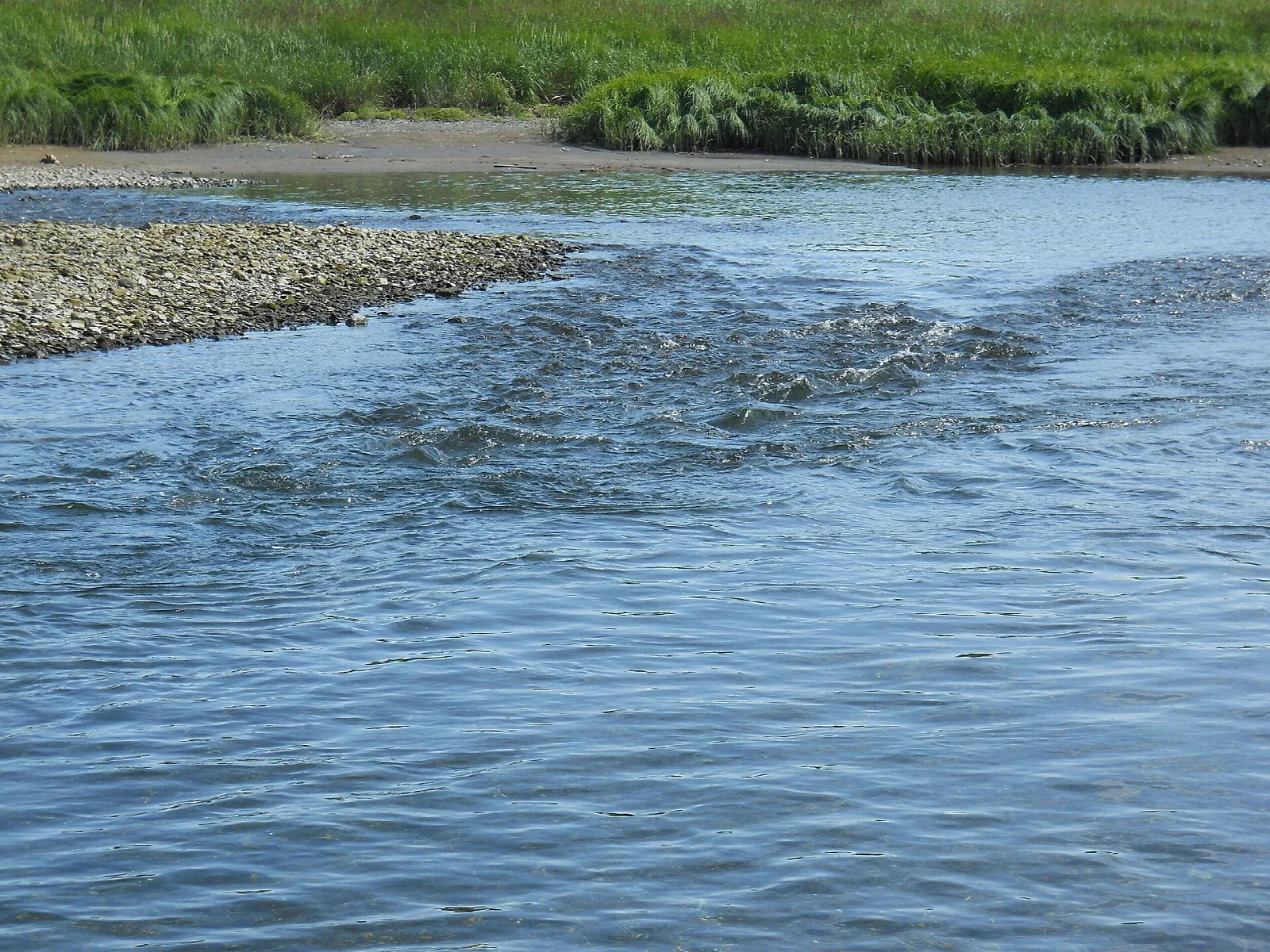 Shallow clear river running over gravel with grassy banks