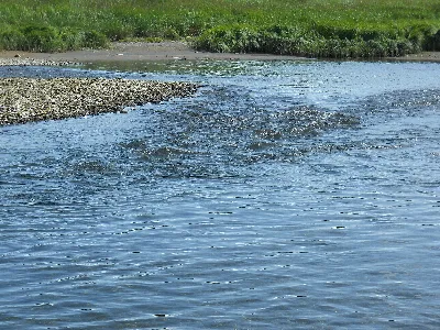 Buskin River State Recreation Site