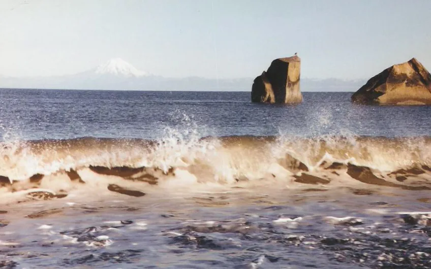 Clam Gulch State Recreation Area