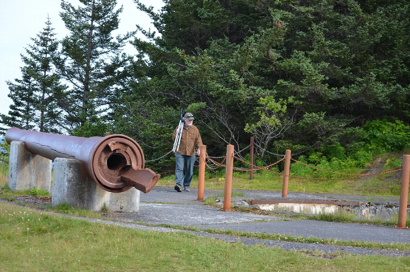 Large rusting gun barrel on concrete mounts beside a person on a path in the forest