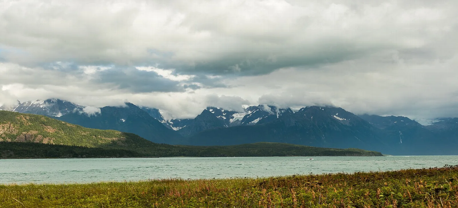 Calm inlet with snow-capped mountains under heavy clouds and grassy shore