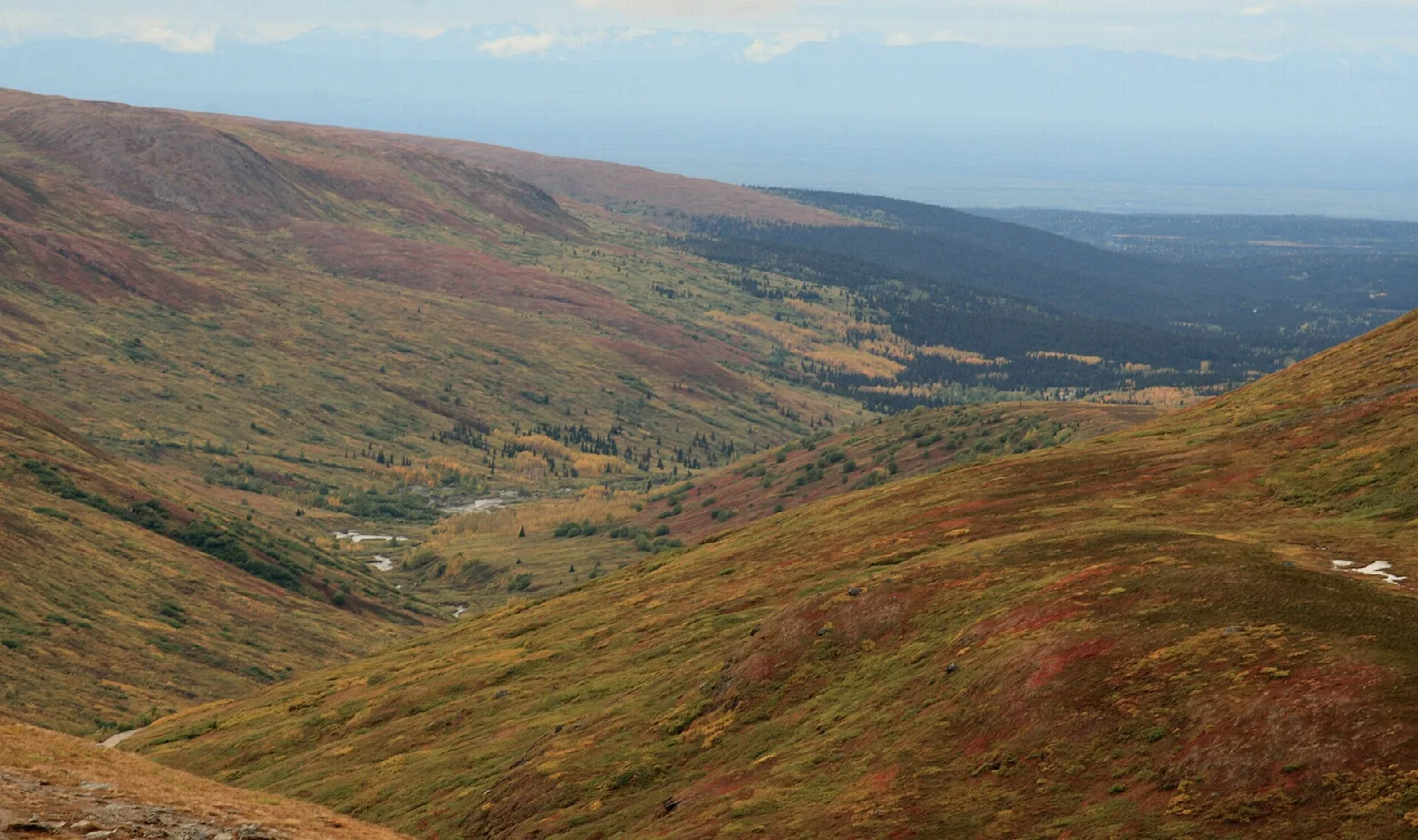 Wide tundra valley with golden fall color stretching toward distant lowlands