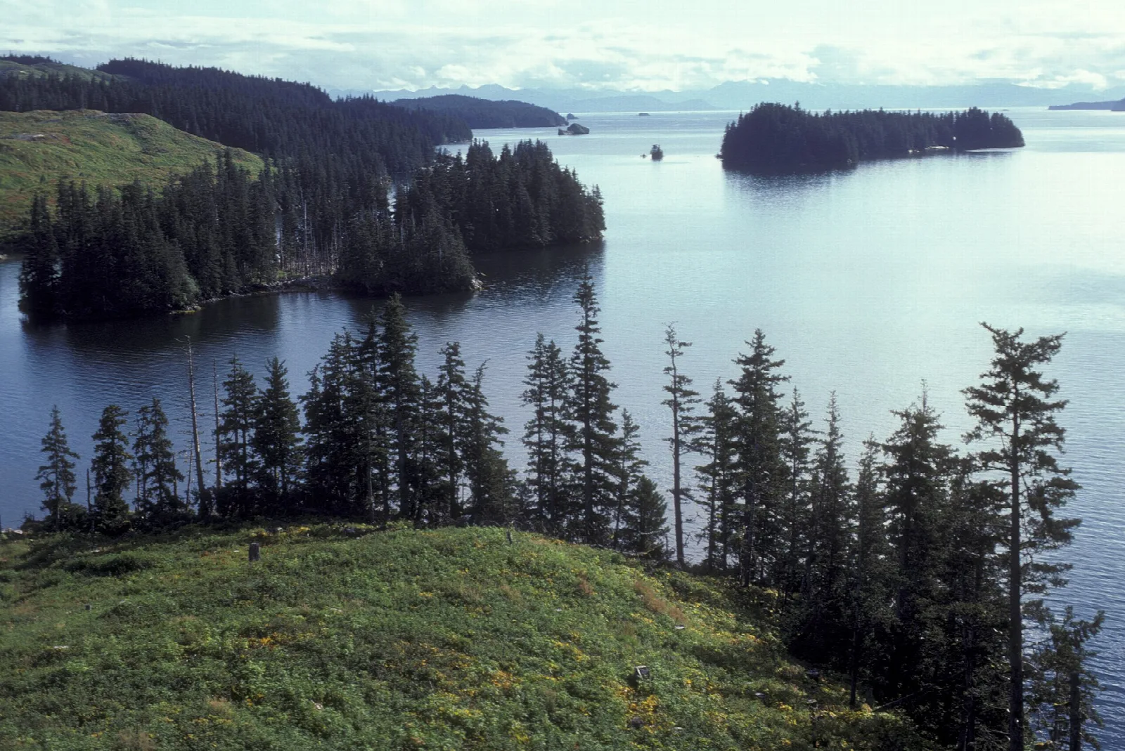 Forested points and small islands along a calm bay on the Afognak coastline