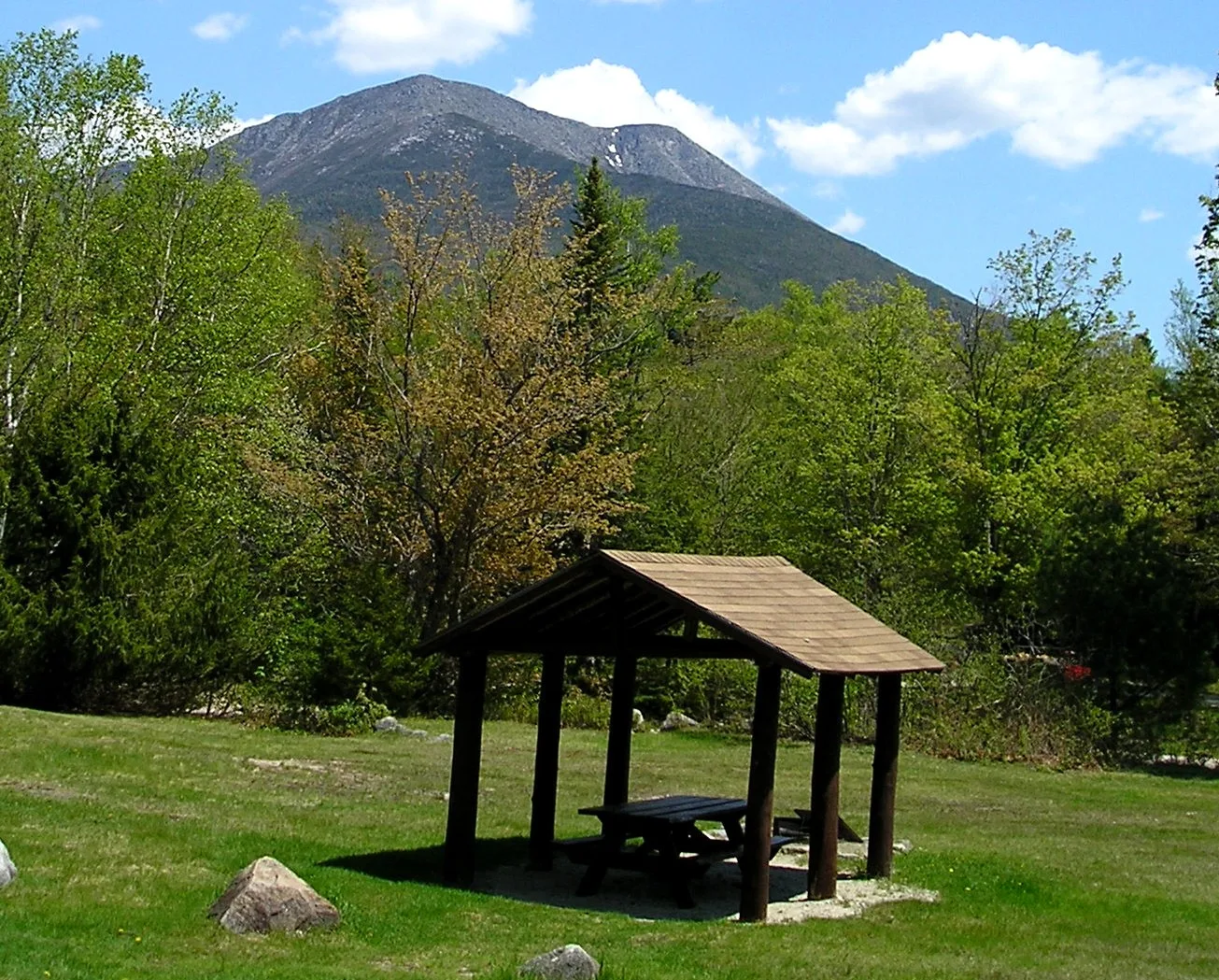 Wooden picnic shelter on a lawn with a mountain rising behind the trees
