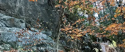 American Legion State Forest