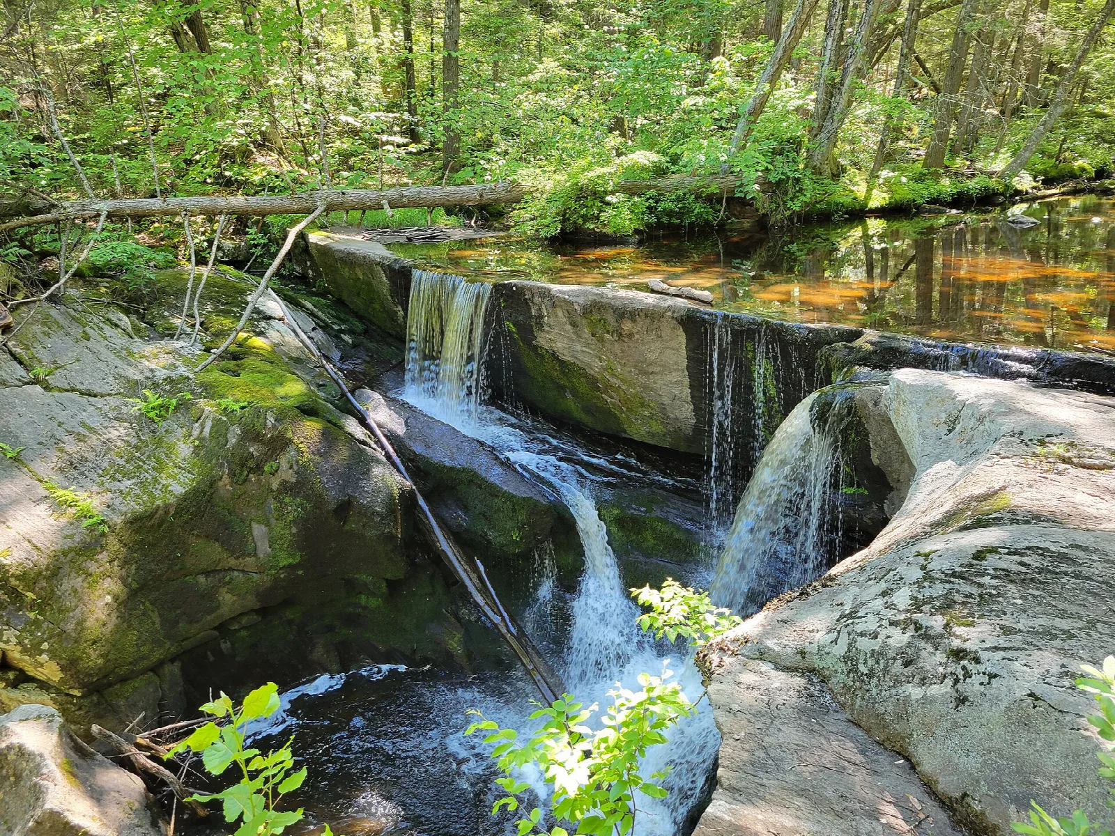 Water spilling over a rock ledge into a pool, with green plants around