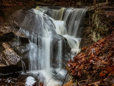 Enders State Forest
