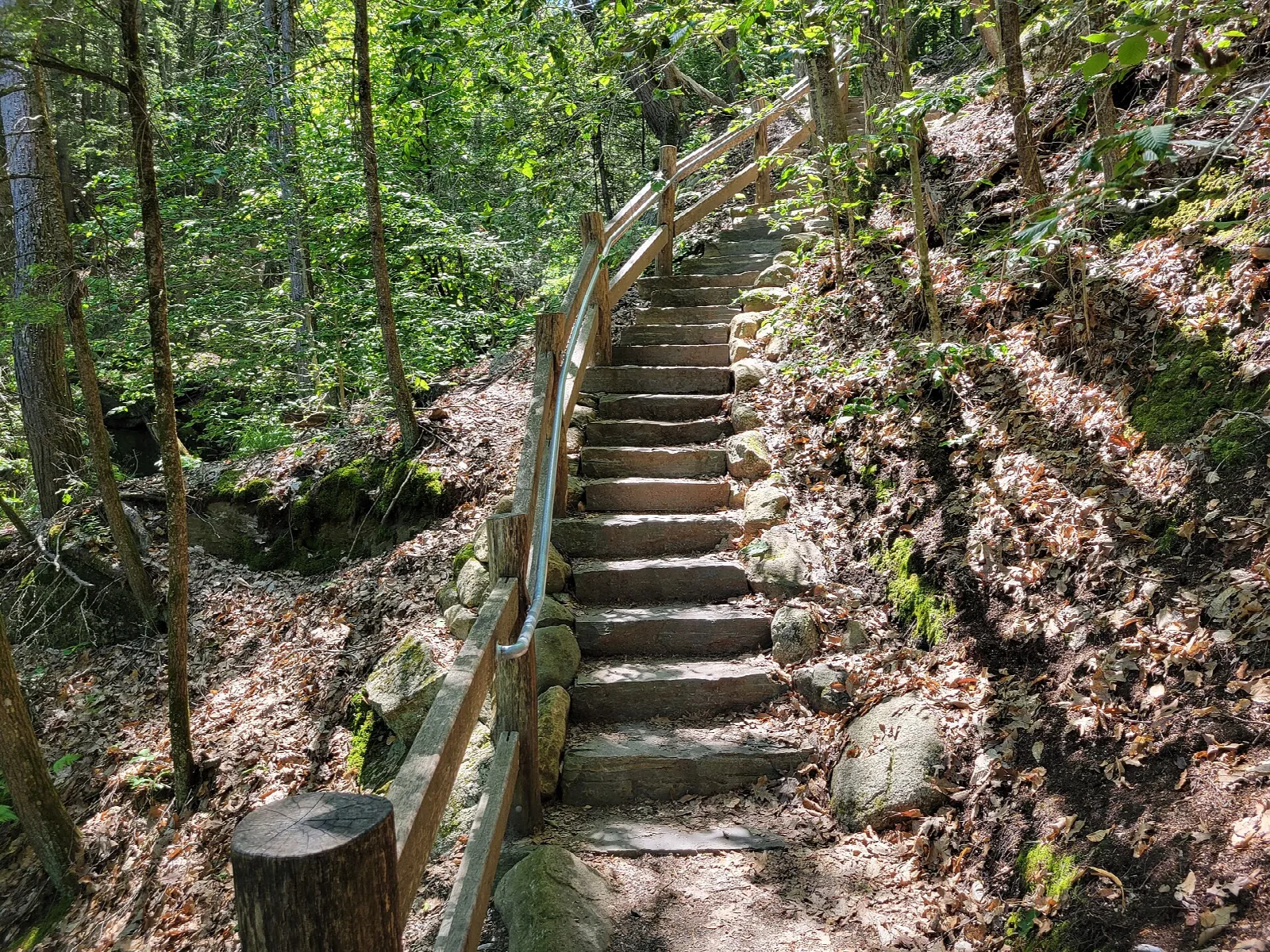 A wooden-railed stone stairway climbing a wooded hillside