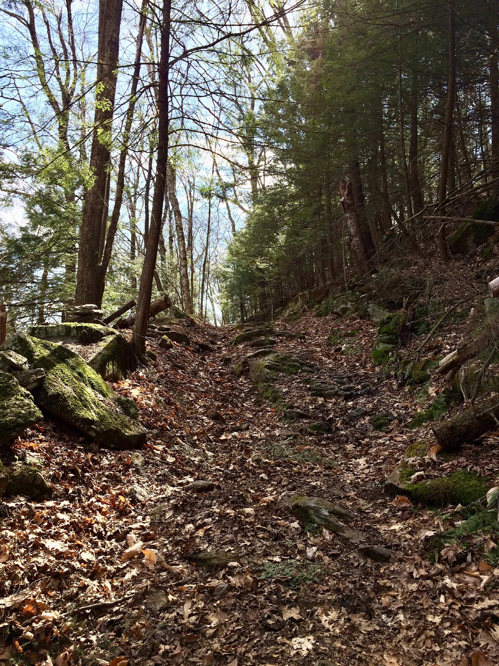 A narrow leaf-covered trail climbing through woods with mossy rocks