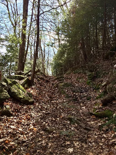 Housatonic State Forest