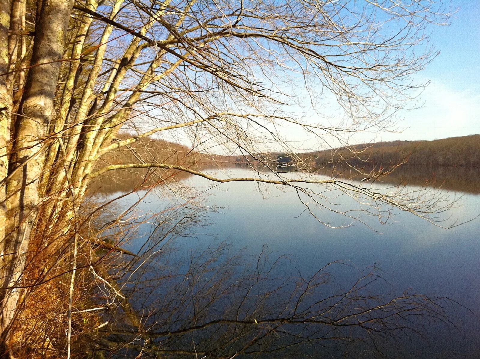 A calm lake framed by bare branches and a tree trunk