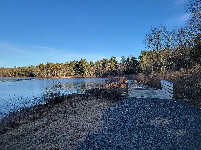 Massacoe State Forest