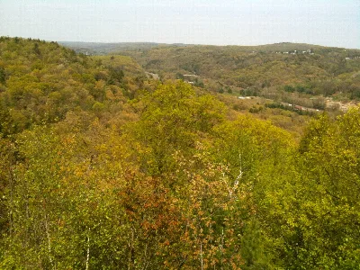 Mattatuck State Forest