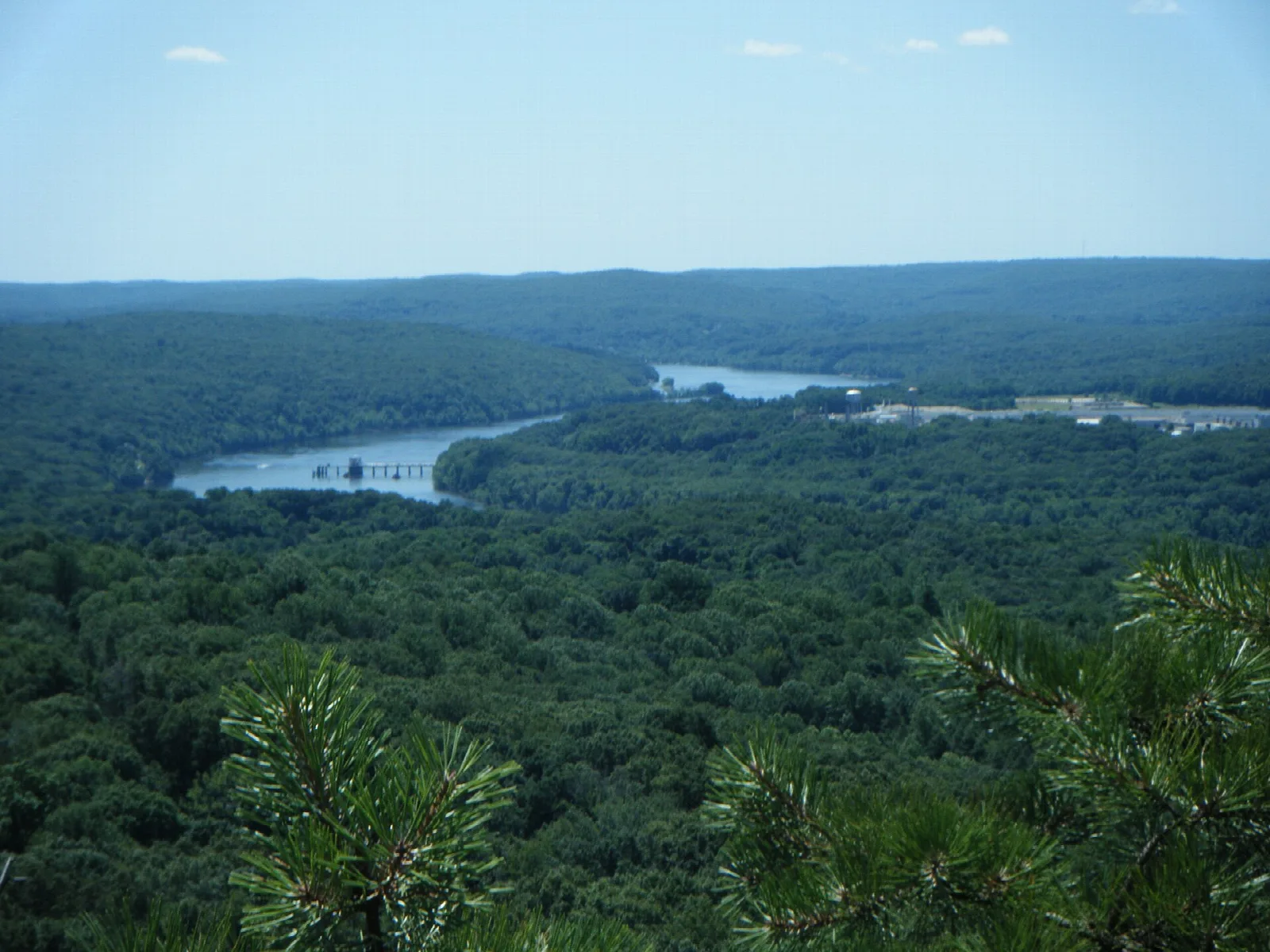 A wide forested valley with a river bend in the distance, framed by pine needles