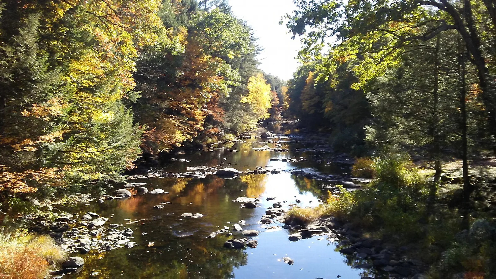 A river lined with yellow and orange fall trees