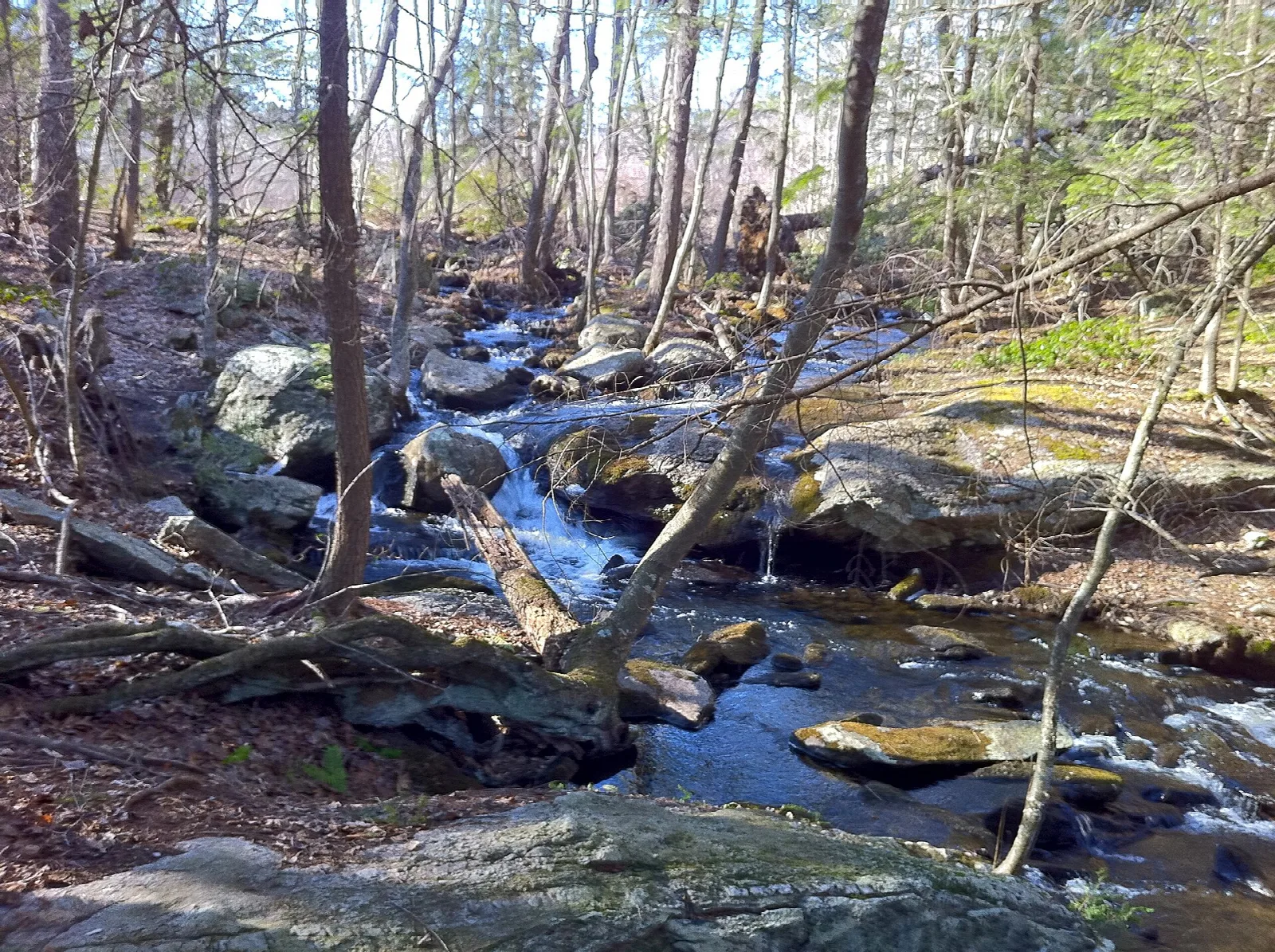 A rocky brook with a small cascade between bare trees