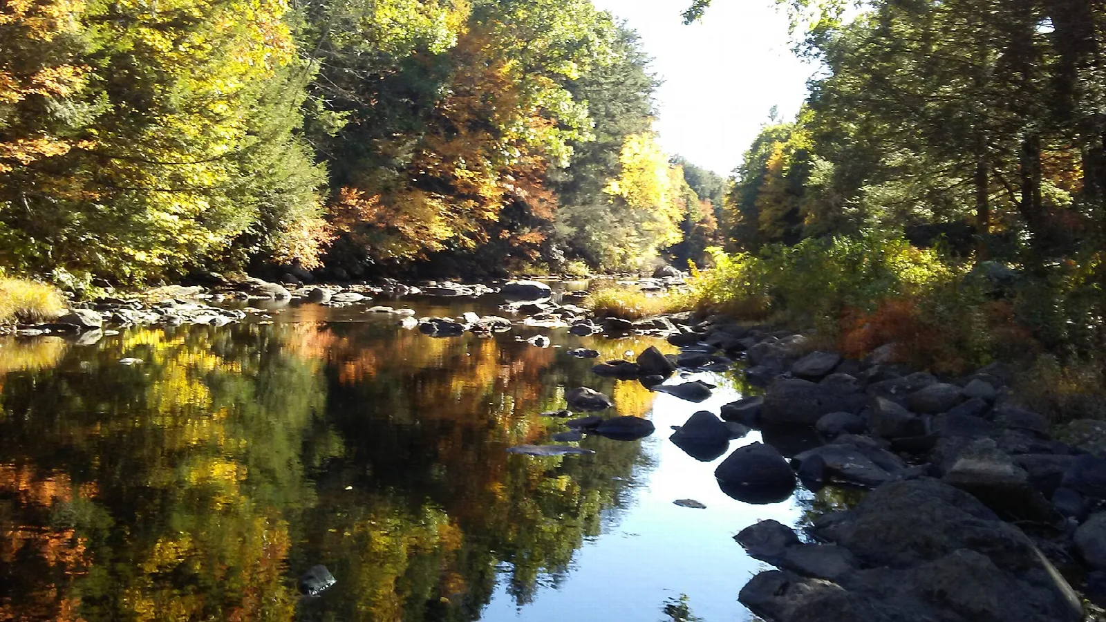 A calm river with autumn trees reflected in the water