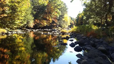 Natchaug State Forest