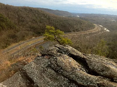 Naugatuck State Forest