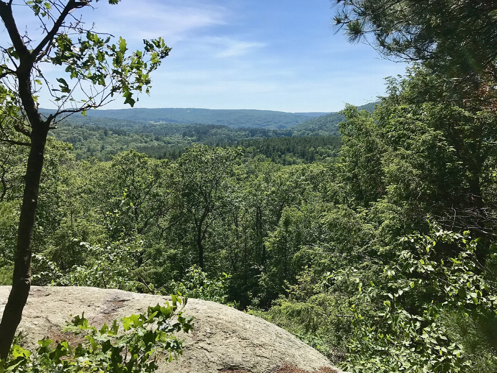 A green wooded valley and a distant mountain seen from a rocky outlook