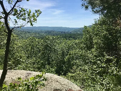 Nepaug State Forest