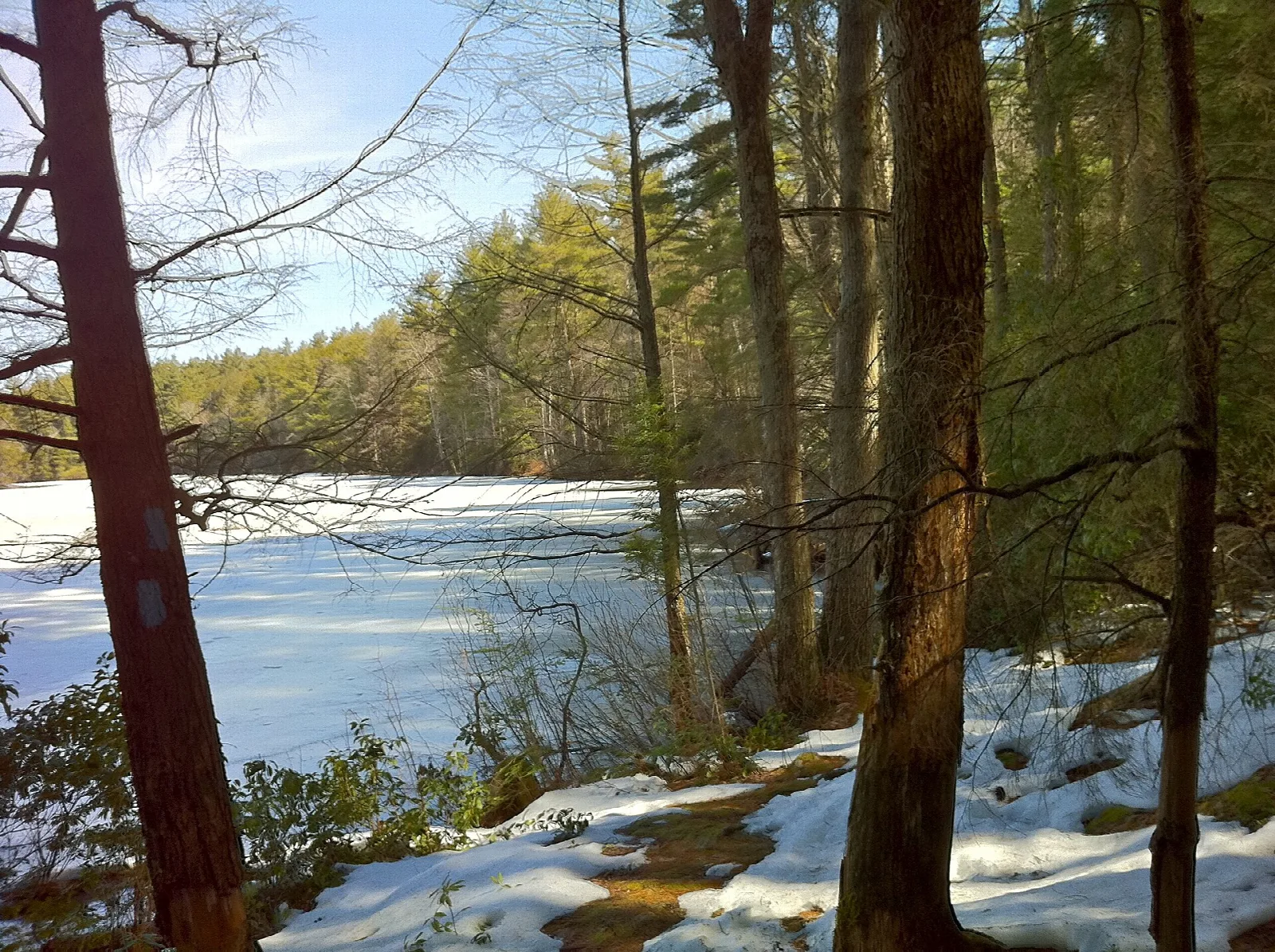 A pond edge with snow on the ground and bare trees