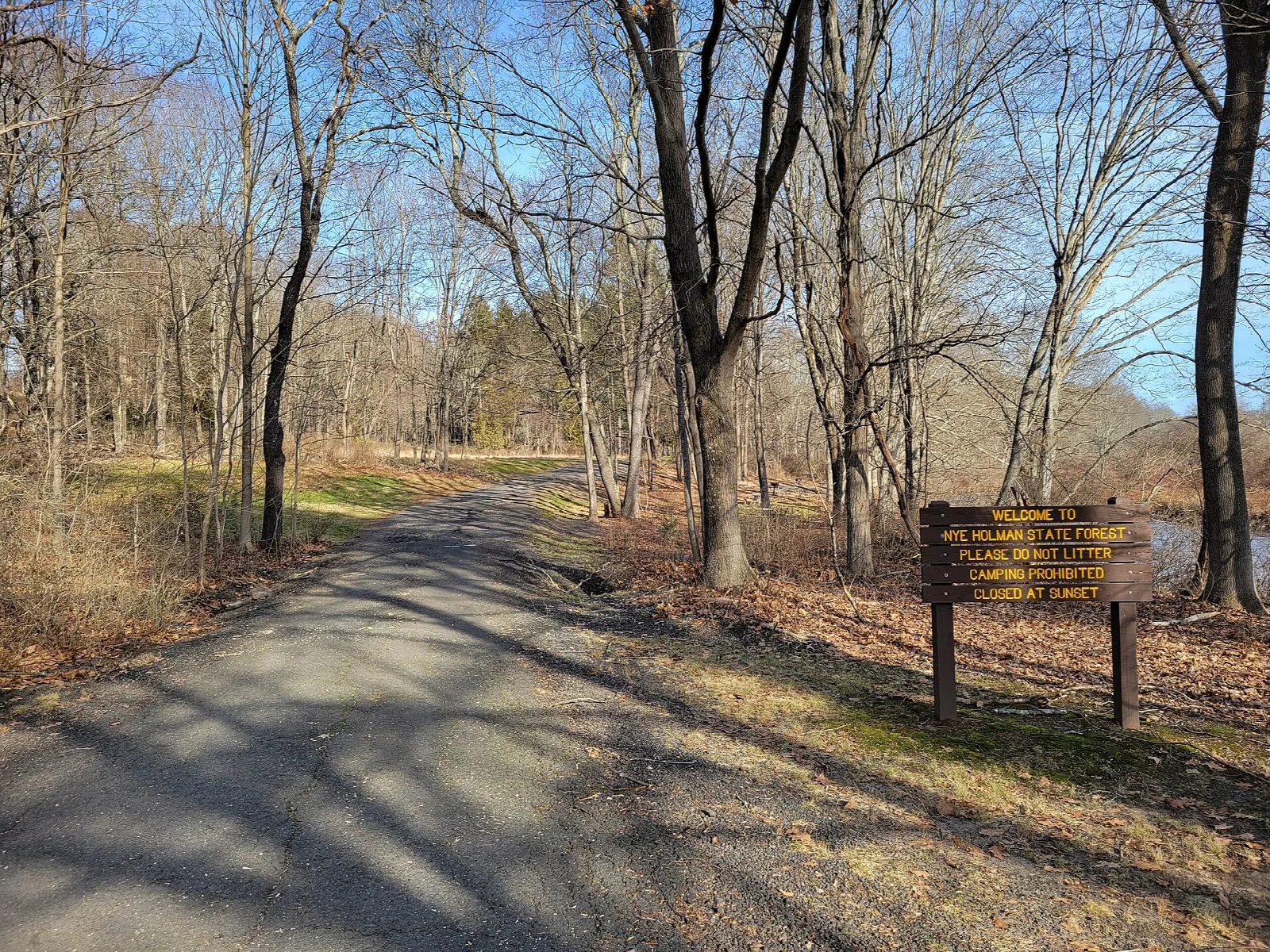 A paved path with a wooden sign through bare autumn woods