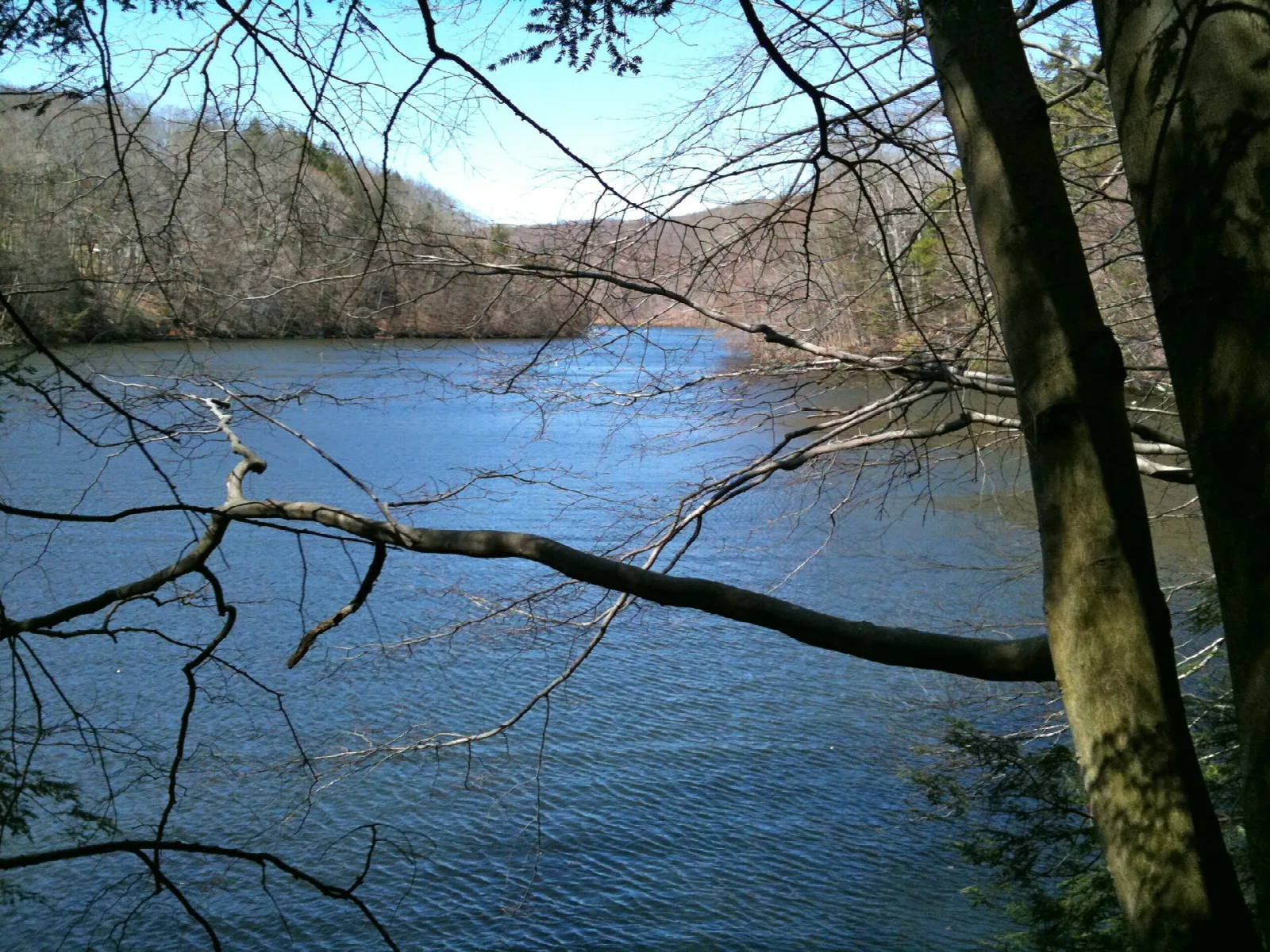 Blue lake water seen through bare branches