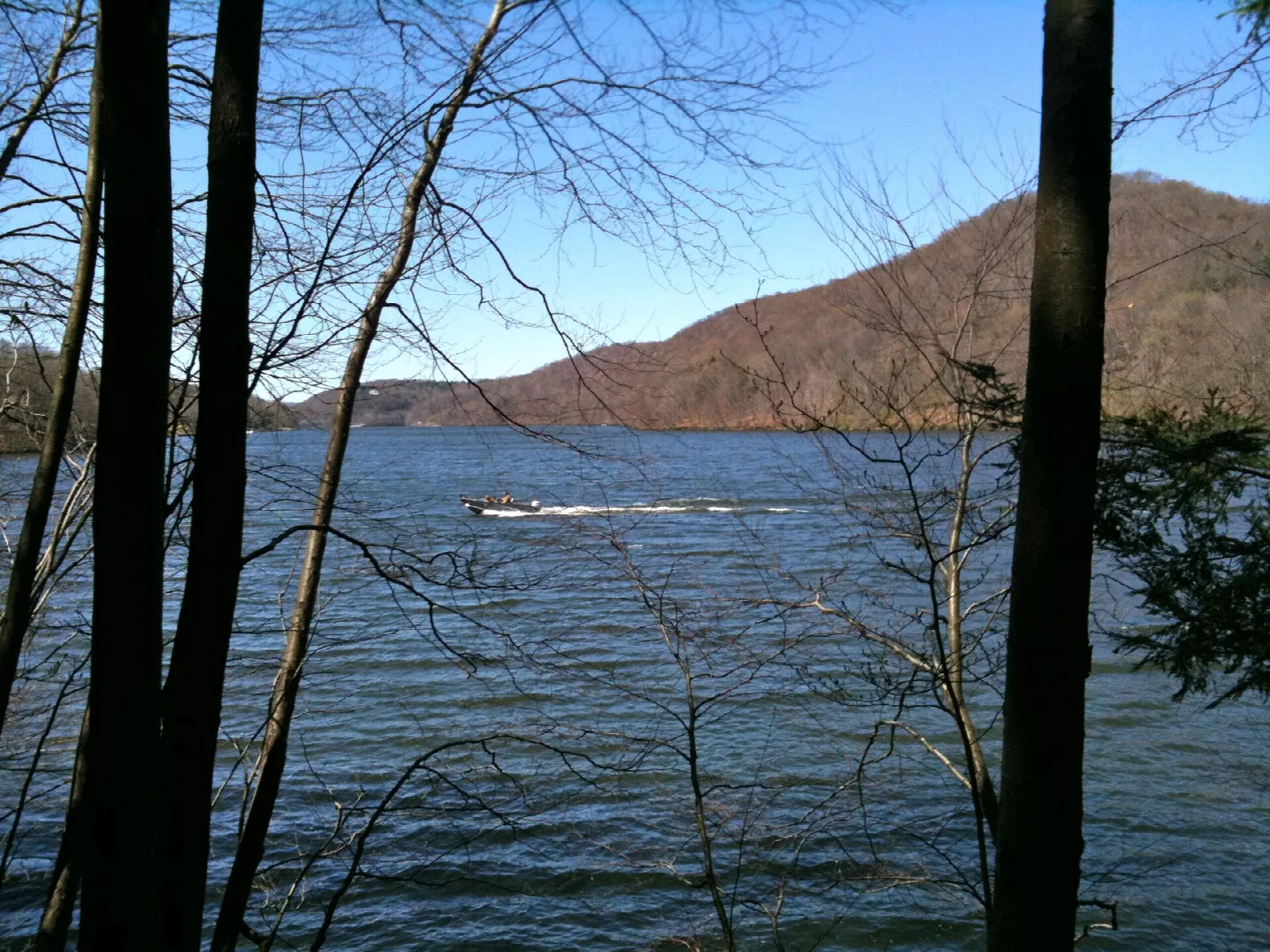 A lake with a hill beyond, seen through bare tree trunks