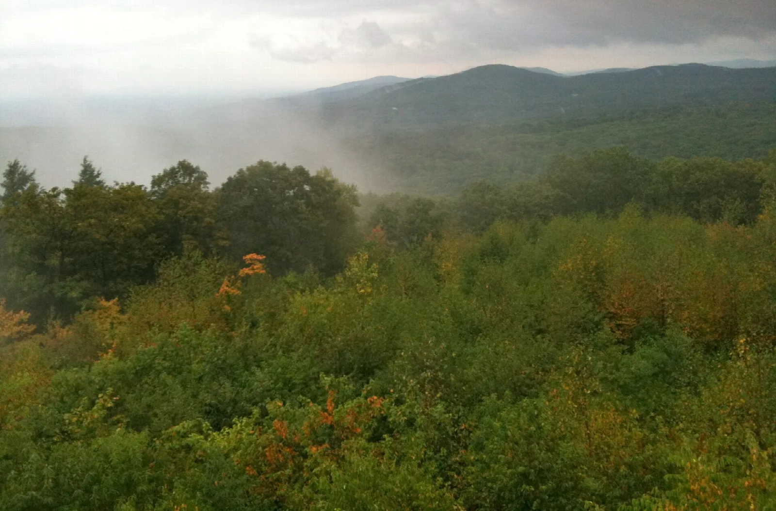 Misty forested ridges seen from a summit lookout
