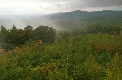 Shenipsit State Forest