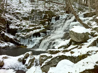 Tunxis State Forest