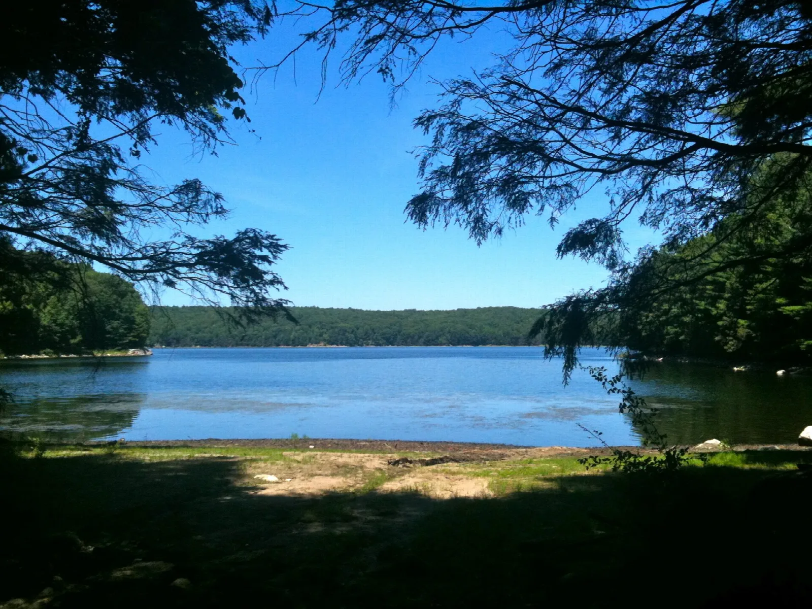 A wide reservoir seen through trees from a shaded shore