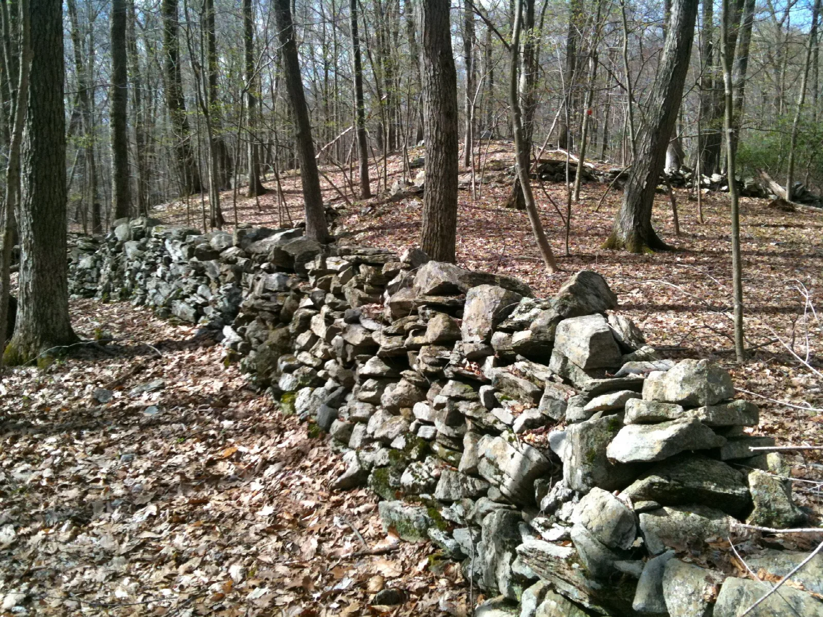 A long stone wall running through leafy woods