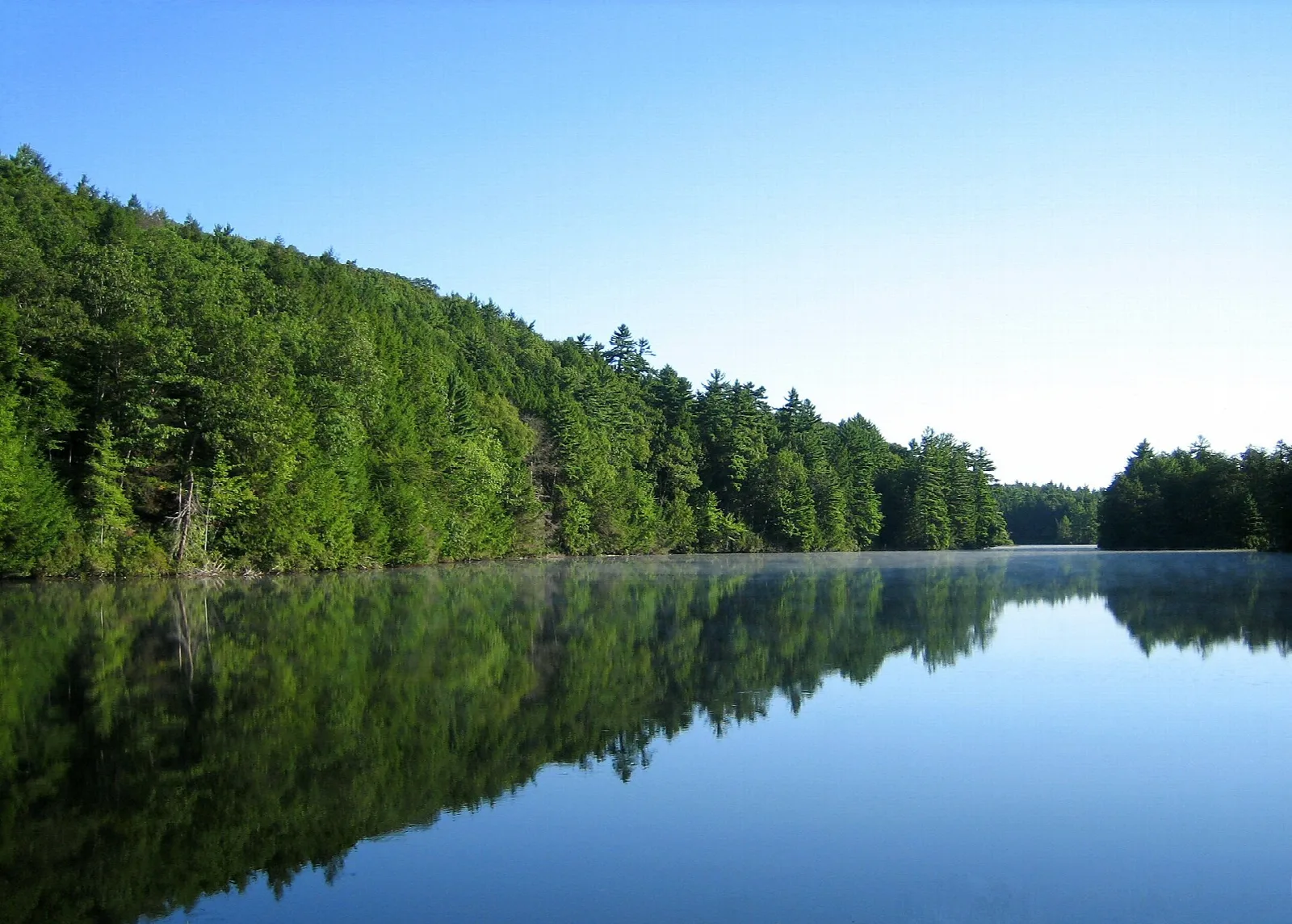 A calm pond with a forested shore reflected in the water