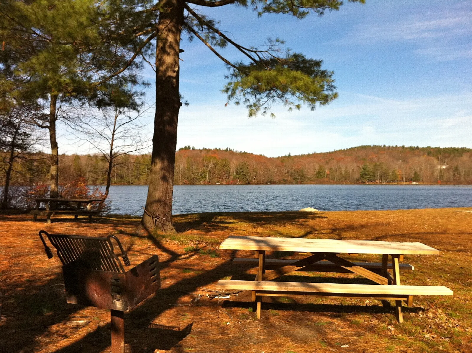 A picnic table and grill under a pine beside a lake with wooded hills