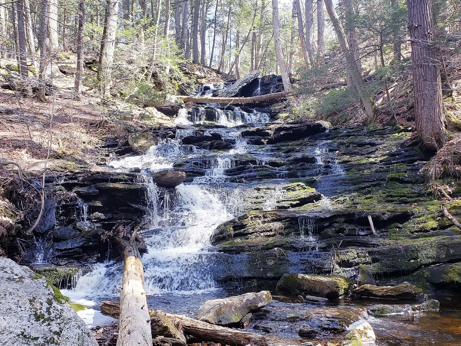 Stepped cascade over mossy rocks in a bare-treed woodland