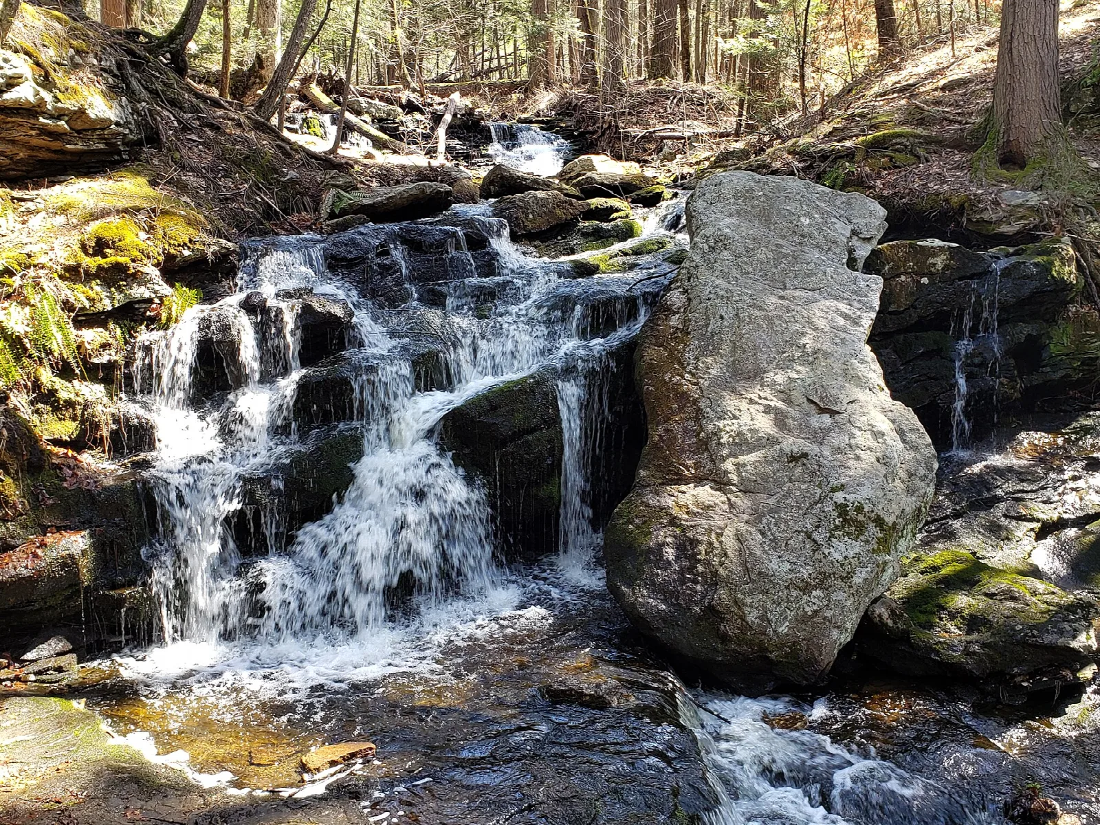 Water cascading over mossy rocks beside a large boulder in the woods