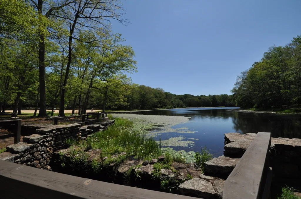 Calm pond with a stone wall and wooden rail in the foreground, trees along the far shore