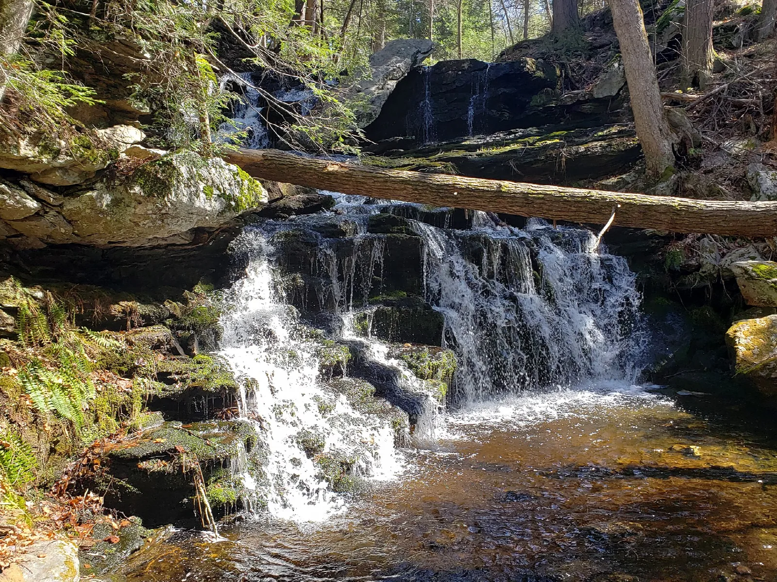 Small waterfall over layered rock with a fallen log above