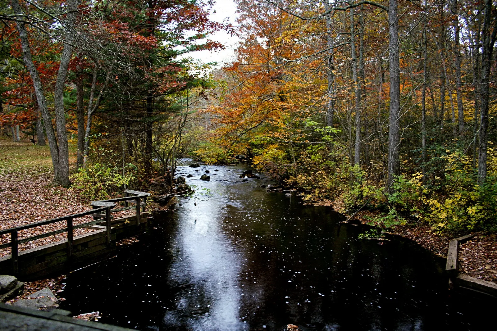 Dark stream with a wooden rail beneath autumn trees