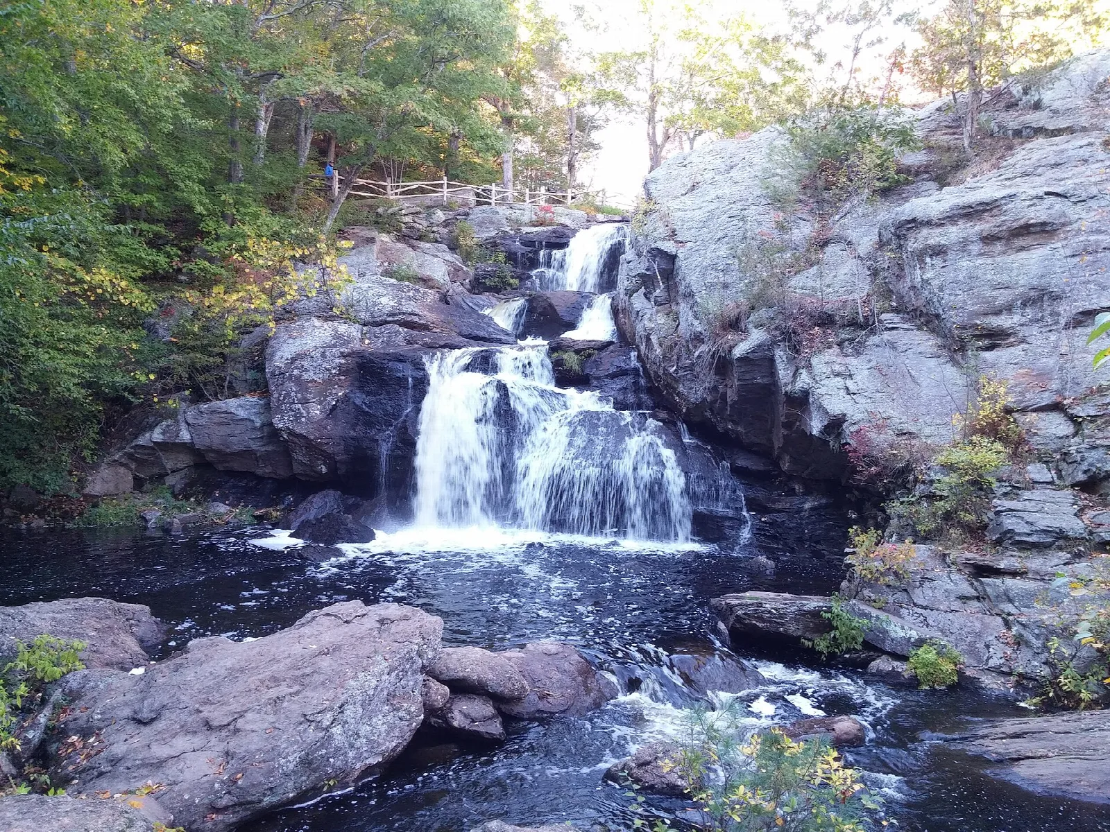 Waterfall in a rocky gorge surrounded by trees