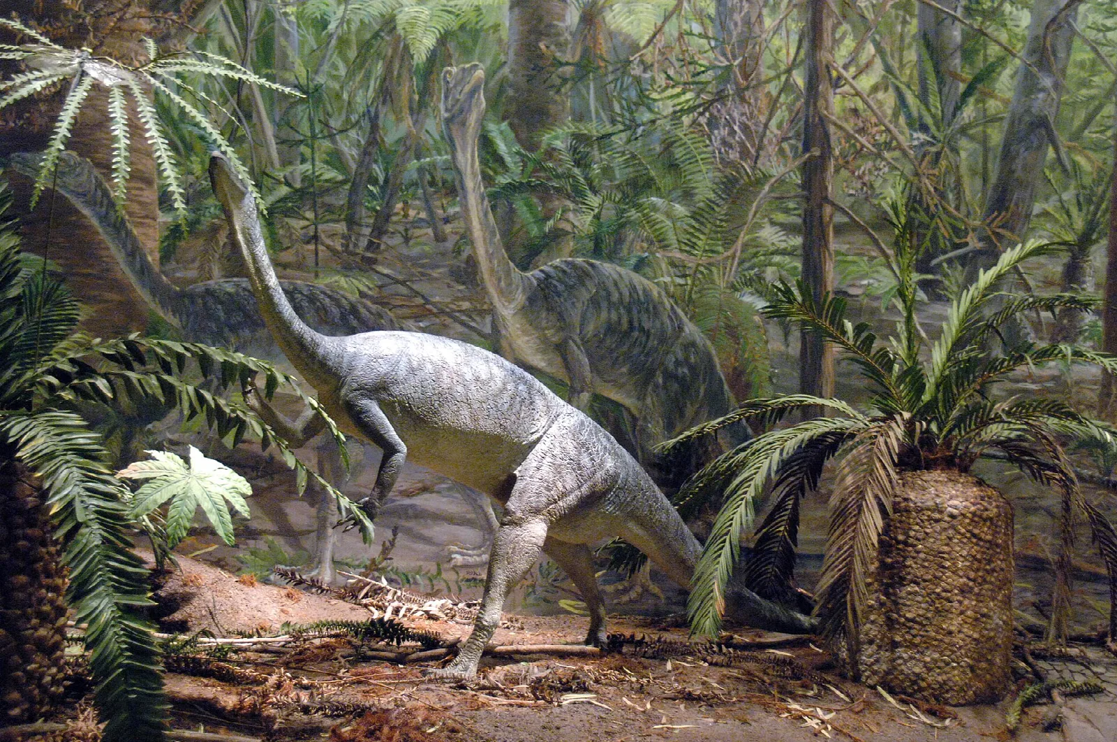 Diorama of dinosaurs among ferns and palms